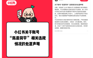 小红书官方辟谣：陈震账号依旧处于禁言状态