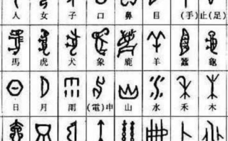 女儿的朋友5中汉字“晋通话”——含义与用法解析