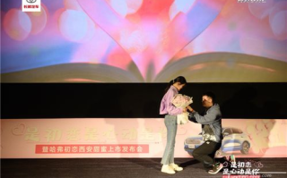 《我的漂亮朋友》初恋剧情解析-青春成长的甜蜜与苦涩