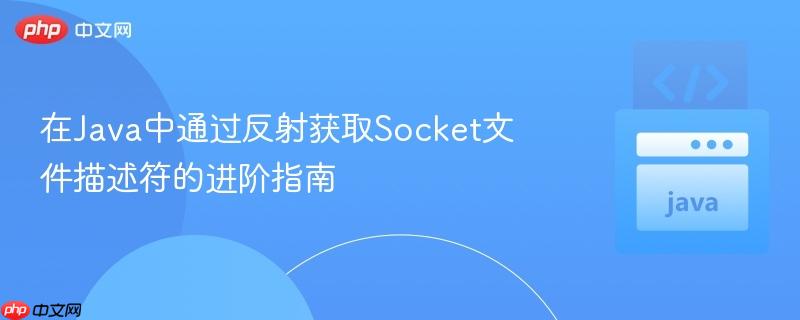 在Java中通过反射获取Socket文件描述符的进阶指南-第1张图片-佛山资讯网