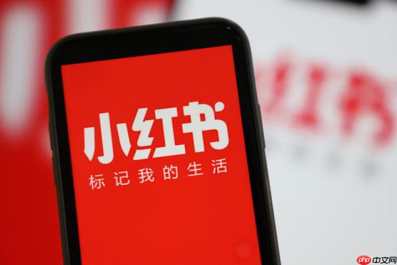 小红书怎么解除与支付宝的绑定_小红书支付方式解绑操作指南-第1张图片-佛山资讯网 小红书怎么解除与支付宝的绑定_小红书支付方式解绑操作指南-第1张图片-佛山资讯网