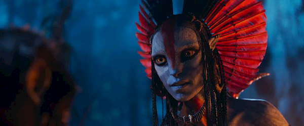 《阿凡达3》还有10天上映 想看人数已经突破65万-第1张图片-佛山资讯网 《阿凡达3》还有10天上映 想看人数已经突破65万-第1张图片-佛山资讯网