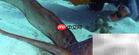 如何将摄像头添加到录像机-第1张图片-佛山资讯网