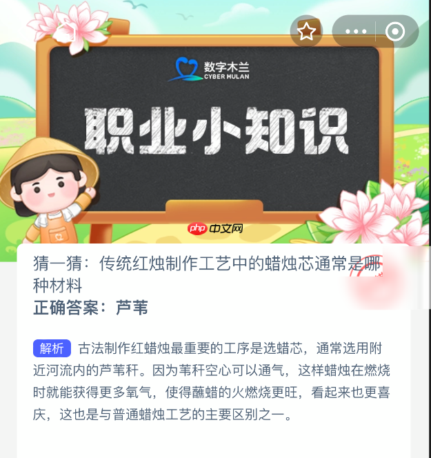 猜一猜：传统红烛制作工艺中的蜡烛芯通常是哪种材料-第1张图片-佛山资讯网