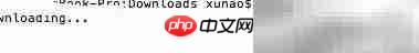 Mac下安装PHP Composer指南-第2张图片-佛山资讯网