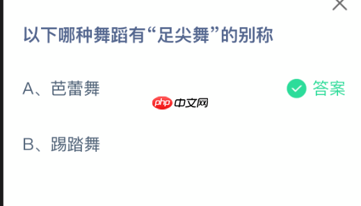 以下哪种舞蹈有足尖舞的别称-第1张图片-佛山资讯网