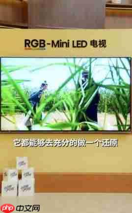50分钟硬核科普!人民日报为海信RGB-Mini LED电视打call:这创新很中国-第3张图片-佛山资讯网 50分钟硬核科普!人民日报为海信RGB-Mini LED电视打call:这创新很中国-第3张图片-佛山资讯网