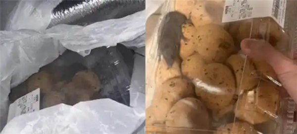 山姆麻薯盒内现活老鼠 当事人：打开那一刻吓蒙了 客服：正在核实-第1张图片-佛山资讯网