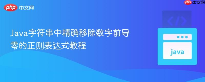 Java字符串中精确移除数字前导零的正则表达式教程-第1张图片-佛山资讯网