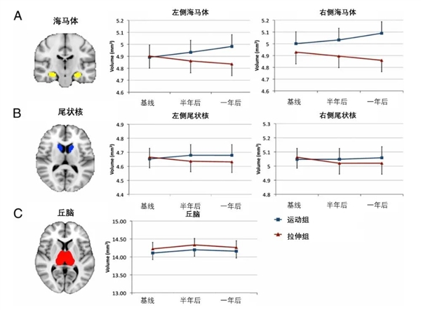 被低估太久！这项平价运动不仅能瘦：还能把你的坏情绪打出去-第2张图片-佛山资讯网