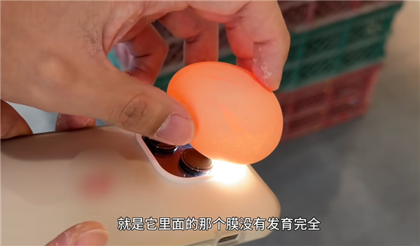 凭煮蛋涨粉350万 “蛋神”教大家用手机补光灯挑鸡蛋-第4张图片-佛山资讯网 凭煮蛋涨粉350万 “蛋神”教大家用手机补光灯挑鸡蛋-第4张图片-佛山资讯网