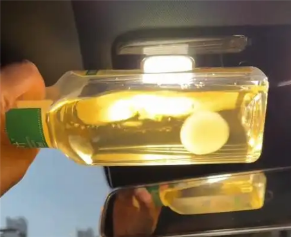 网友晒东方树叶养茶菌当宠物 专家提醒:应及时丢弃避免误食-第1张图片-佛山资讯网 网友晒东方树叶养茶菌当宠物 专家提醒:应及时丢弃避免误食-第1张图片-佛山资讯网