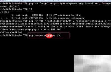 Linux下快速安装Composer指南-第4张图片-佛山资讯网