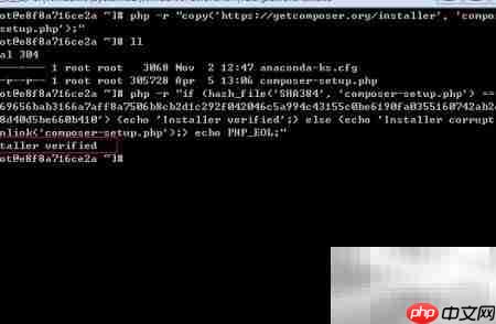 Linux下快速安装Composer指南-第3张图片-佛山资讯网
