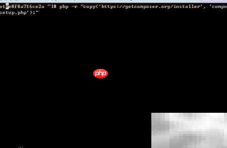 Linux下快速安装Composer指南-第1张图片-佛山资讯网