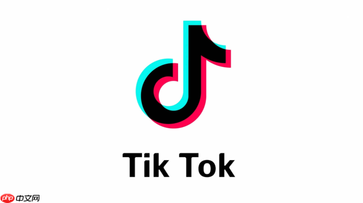 TikTok中国地区入口 最新可用网页入口-第1张图片-佛山资讯网
