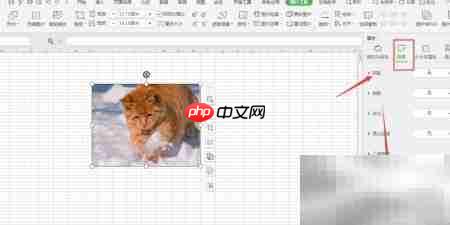 WPS表格立体图制作技巧-第2张图片-佛山资讯网 WPS表格立体图制作技巧-第2张图片-佛山资讯网