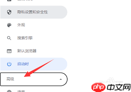 谷歌浏览器拼写检查打不开如何解决-第1张图片-佛山资讯网