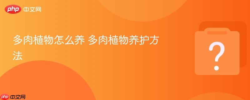 多肉植物怎么养 多肉植物养护方法-第1张图片-佛山资讯网