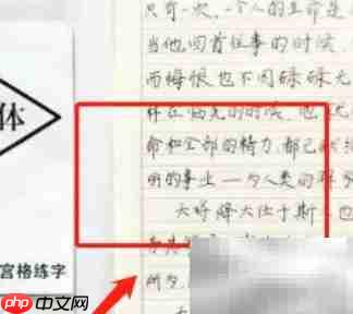中宫格练字法快速入门-第3张图片-佛山资讯网 中宫格练字法快速入门-第3张图片-佛山资讯网