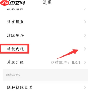 《知鸟》切换播放内核方法-第2张图片-佛山资讯网