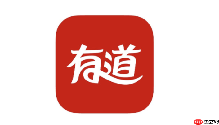 有道人工翻译入口 专业翻译服务官方入口-第1张图片-佛山资讯网