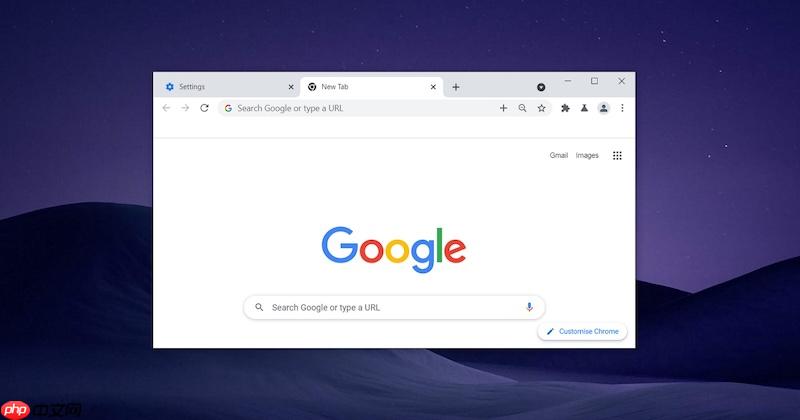 Google浏览器官网网页版主站 Google浏览器官方入口直通车-第1张图片-佛山资讯网