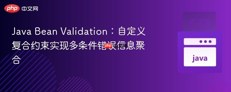 Java Bean Validation：自定义复合约束实现多条件错误信息聚合-第1张图片-佛山资讯网
