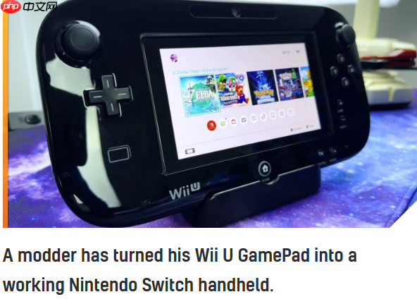高玩魔改Wii U主机 塞入NS Lite游玩Switch游戏-第2张图片-佛山资讯网 高玩魔改Wii U主机 塞入NS Lite游玩Switch游戏-第2张图片-佛山资讯网