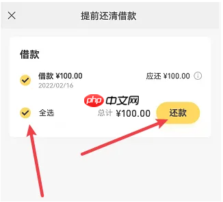 微粒贷可以提前全部还款吗?可以!附提前全部还款的步骤图-第3张图片-佛山资讯网 微粒贷可以提前全部还款吗?可以!附提前全部还款的步骤图-第3张图片-佛山资讯网