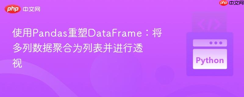 使用Pandas重塑DataFrame：将多列数据聚合为列表并进行透视-第1张图片-佛山资讯网
