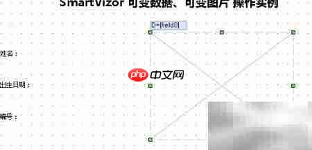 SmartVizor可变数据操作实例-第2张图片-佛山资讯网