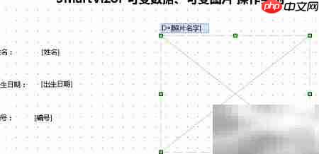 SmartVizor可变数据操作实例-第6张图片-佛山资讯网
