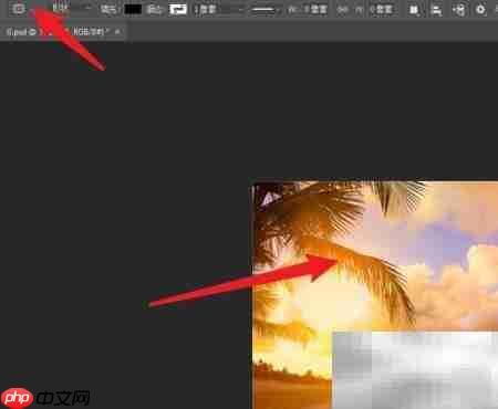 Photoshop圆角工具位置指南-第1张图片-佛山资讯网