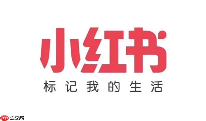 小红书网页版访问地址 小红书电脑版官方主页-第1张图片-佛山资讯网 小红书网页版访问地址 小红书电脑版官方主页-第1张图片-佛山资讯网