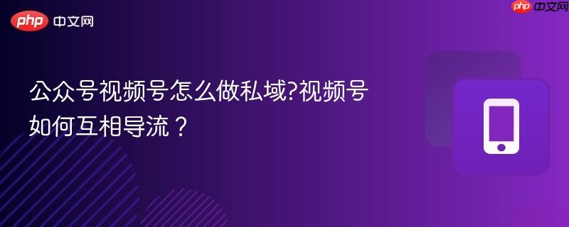 公众号视频号怎么做私域?视频号如何互相导流?-第1张图片-佛山资讯网 公众号视频号怎么做私域?视频号如何互相导流?-第1张图片-佛山资讯网