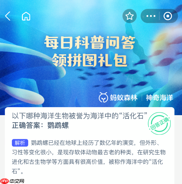 以下哪种海洋生物被誉为海洋中的活化石-第1张图片-佛山资讯网 以下哪种海洋生物被誉为海洋中的活化石-第1张图片-佛山资讯网