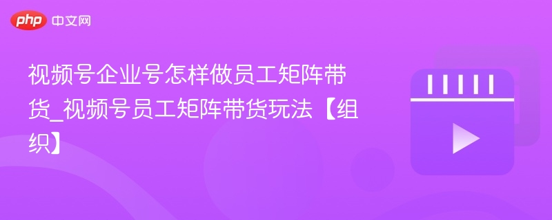 视频号企业号怎样做员工矩阵带货_视频号员工矩阵带货玩法【组织】-第1张图片-佛山资讯网