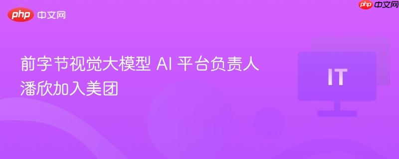 前字节视觉大模型 AI 平台负责人潘欣加入美团-第1张图片-佛山资讯网
