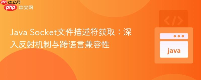 Java Socket文件描述符获取：深入反射机制与跨语言兼容性-第1张图片-佛山资讯网