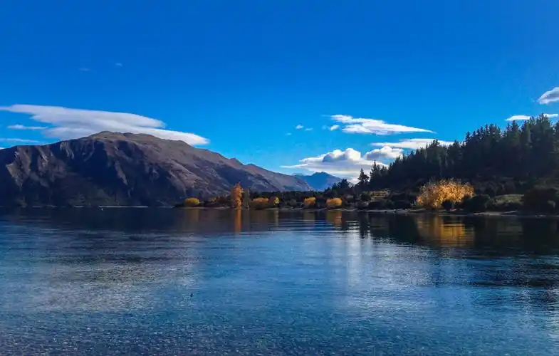 站酷海洛支持AI供稿吗-第2张图片-佛山资讯网