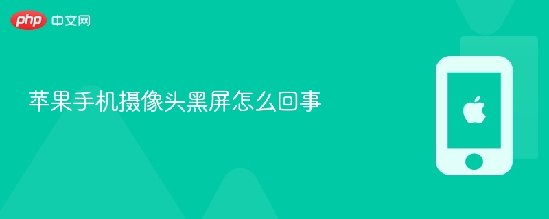 苹果手机摄像头黑屏怎么回事-第1张图片-佛山资讯网 苹果手机摄像头黑屏怎么回事-第1张图片-佛山资讯网
