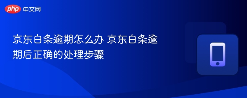 京东白条逾期怎么办 京东白条逾期后正确的处理步骤-第1张图片-佛山资讯网 京东白条逾期怎么办 京东白条逾期后正确的处理步骤-第1张图片-佛山资讯网