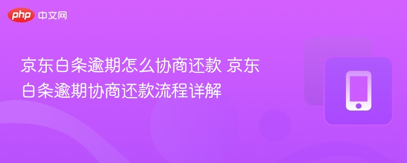 京东白条逾期怎么协商还款 京东白条逾期协商还款流程详解-第1张图片-佛山资讯网