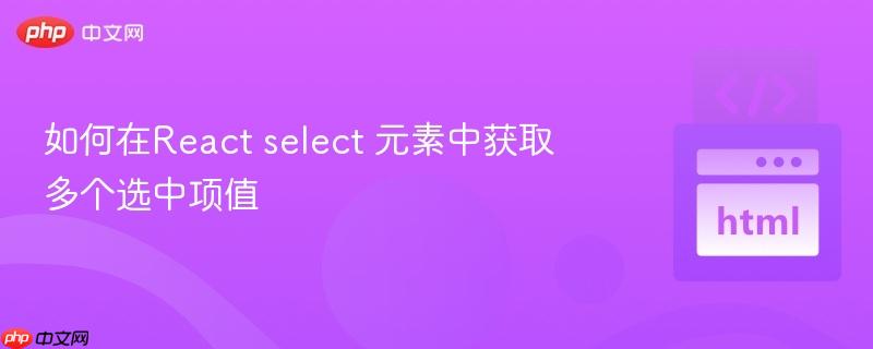如何在React select 元素中获取多个选中项值-第1张图片-佛山资讯网 如何在React select 元素中获取多个选中项值-第1张图片-佛山资讯网