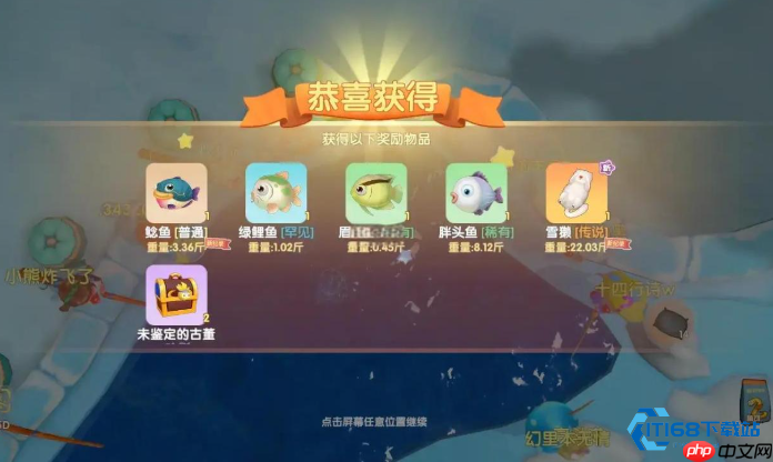 鲶鱼钓鱼全攻略：从入门到精通，轻松获取高级鱼饵-第1张图片-佛山资讯网
