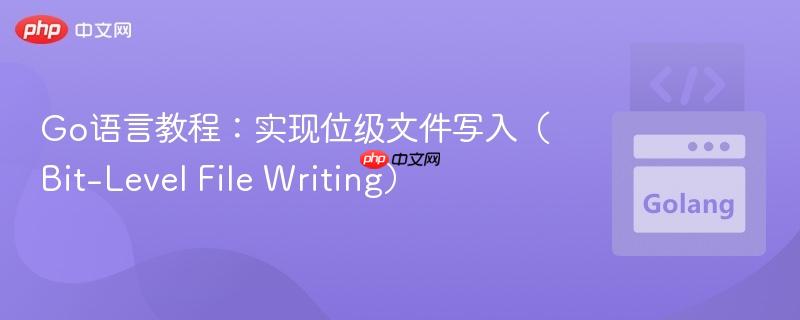 Go语言教程：实现位级文件写入（Bit-Level File Writing）-第1张图片-佛山资讯网