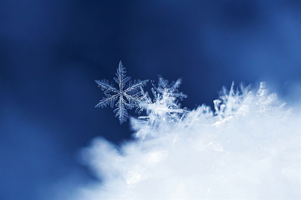 今年下雪为啥不撒融雪剂了 专家回应-第1张图片-佛山资讯网 今年下雪为啥不撒融雪剂了 专家回应-第1张图片-佛山资讯网