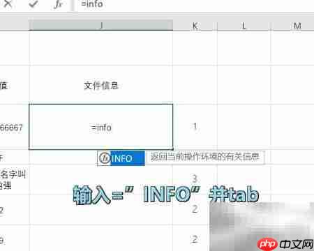 Excel INFO函数使用技巧-第1张图片-佛山资讯网
