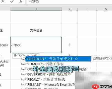 Excel INFO函数使用技巧-第2张图片-佛山资讯网